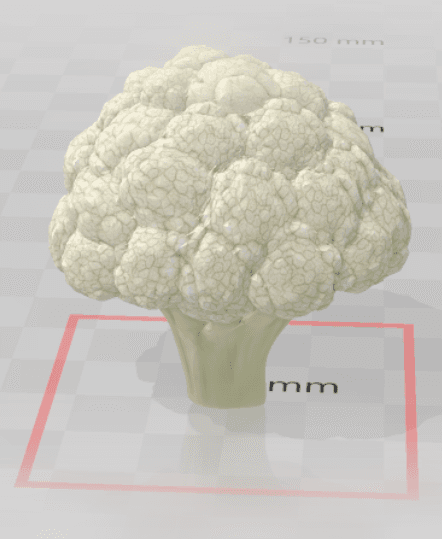 Cauliflower 3d model