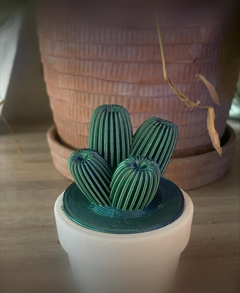 lady finger cactus 3d model