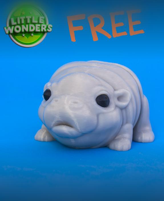 Baby Hippo 3d model