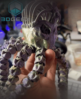 Octopus Skeleton 3d model