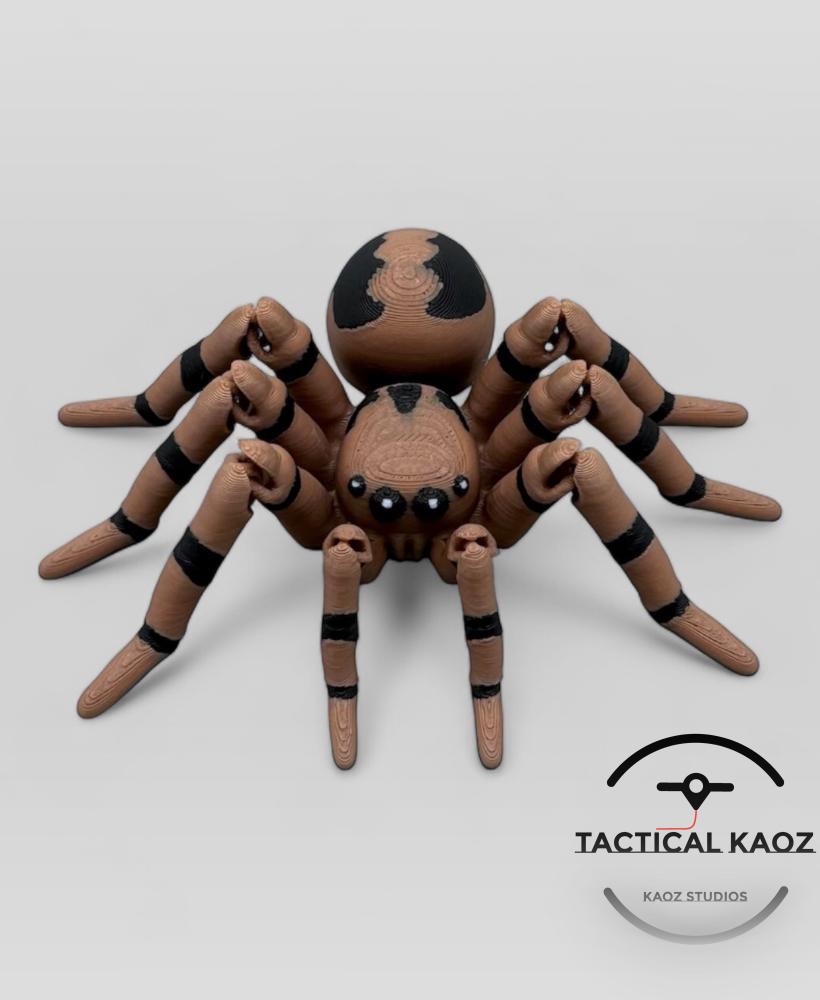 Articulating Spider Flexy Jumping spider / Tarantula  3d model