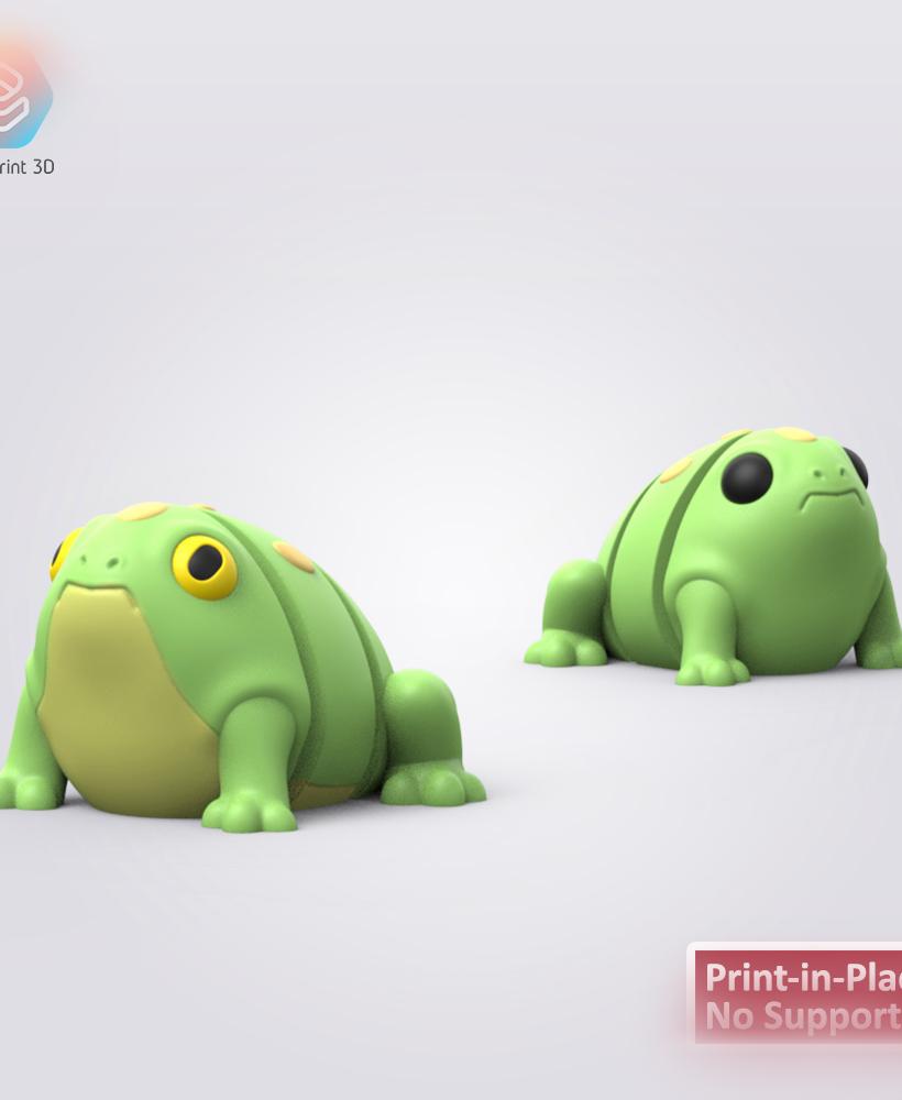 Flexi Frog 3d model