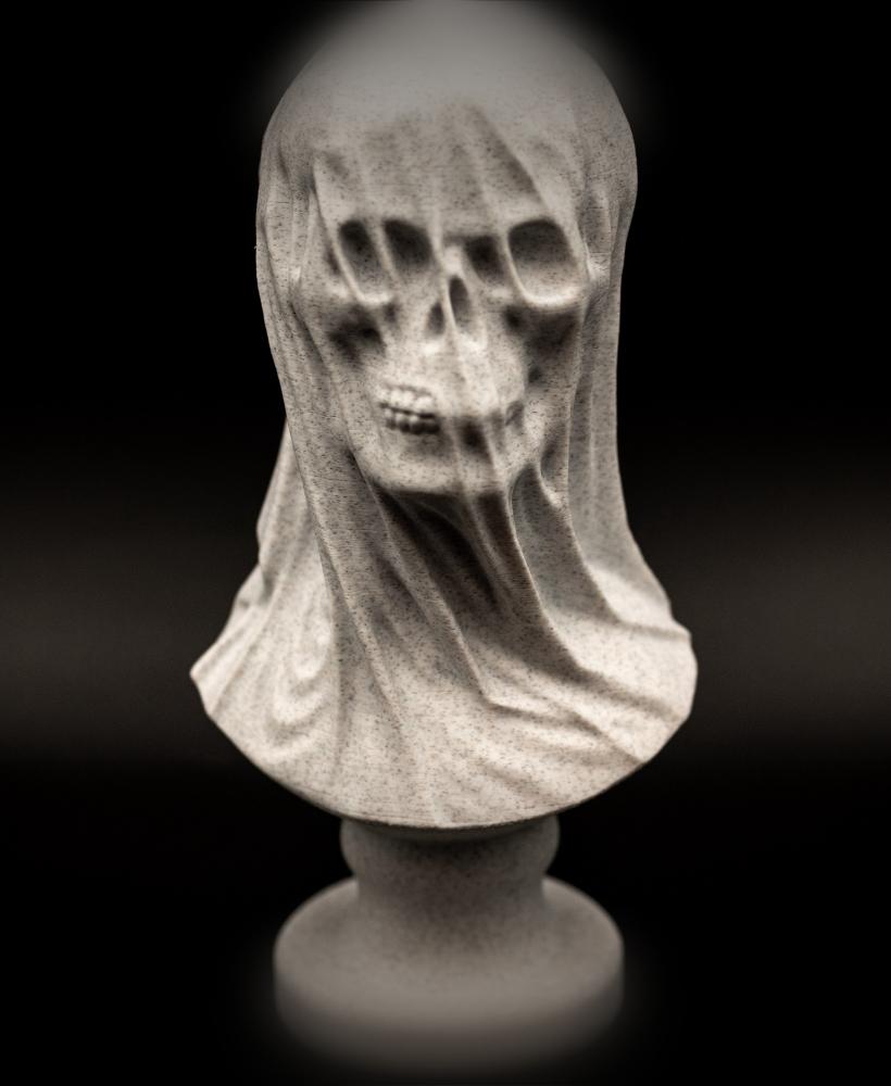 Draped Skull Bust (Pre Supported) 3d model