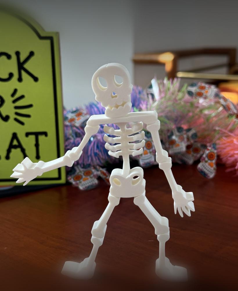 Flexi Skeleton 3d model