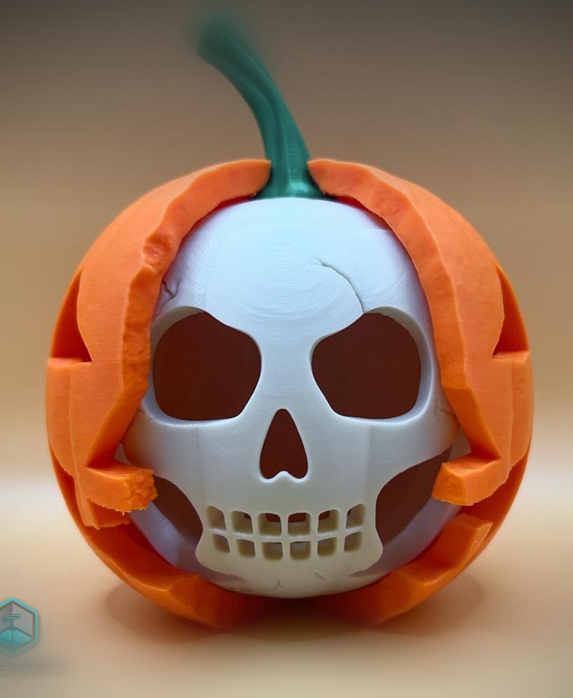 Jack's Skull 3d model