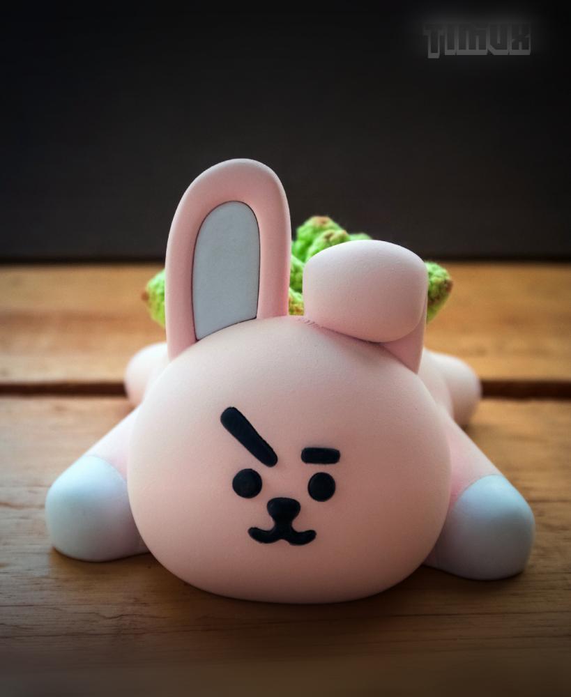 BT21 - COOKY PLANTER 3d model