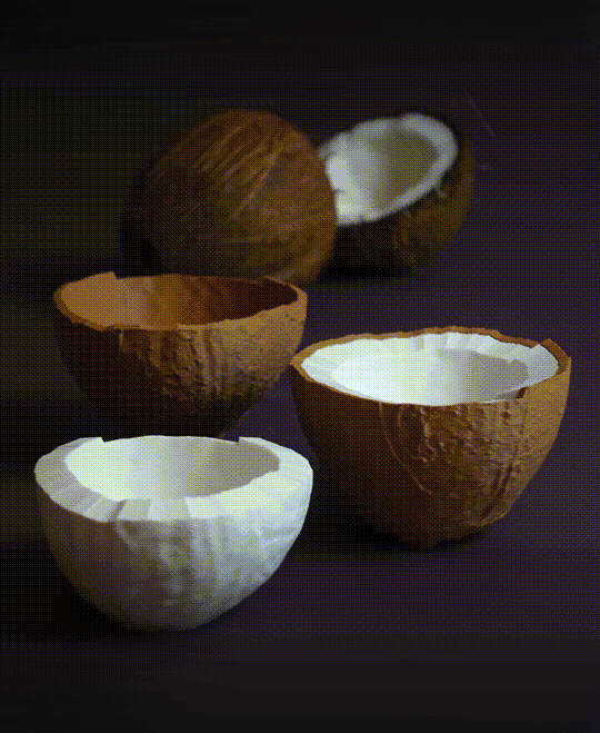 Coconut bowls 3d model