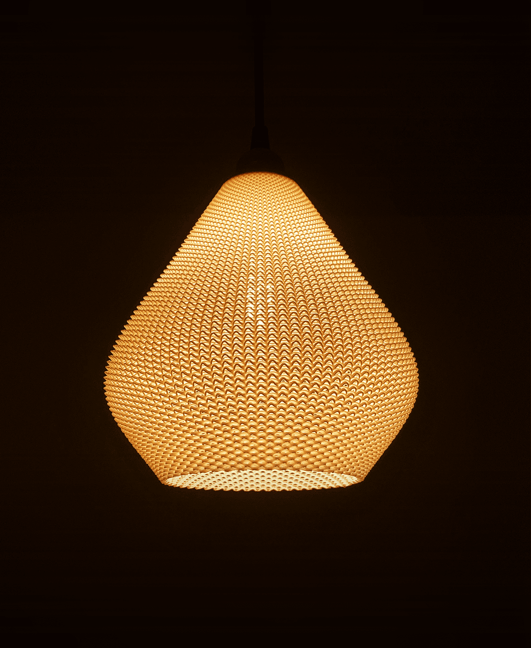 AERO LAMPSHADE RippleMesh 3d model