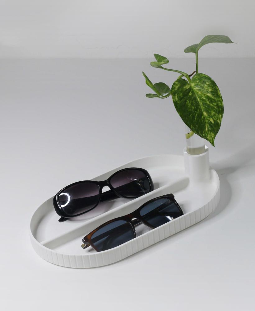 Catch-All Tray with Built-In Propagation Tube for Plants 3d model