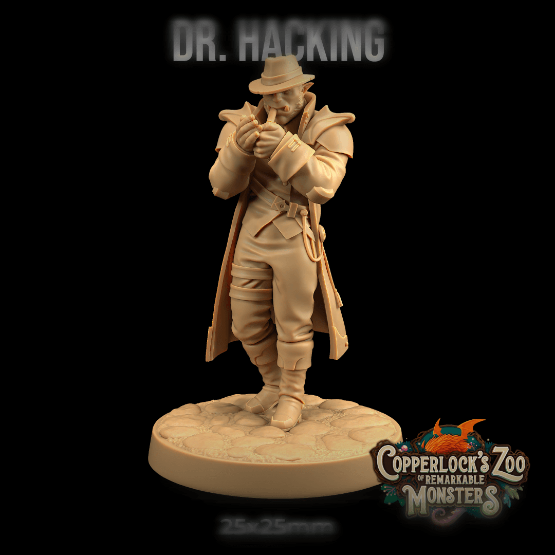 Dr Hacking 3d model