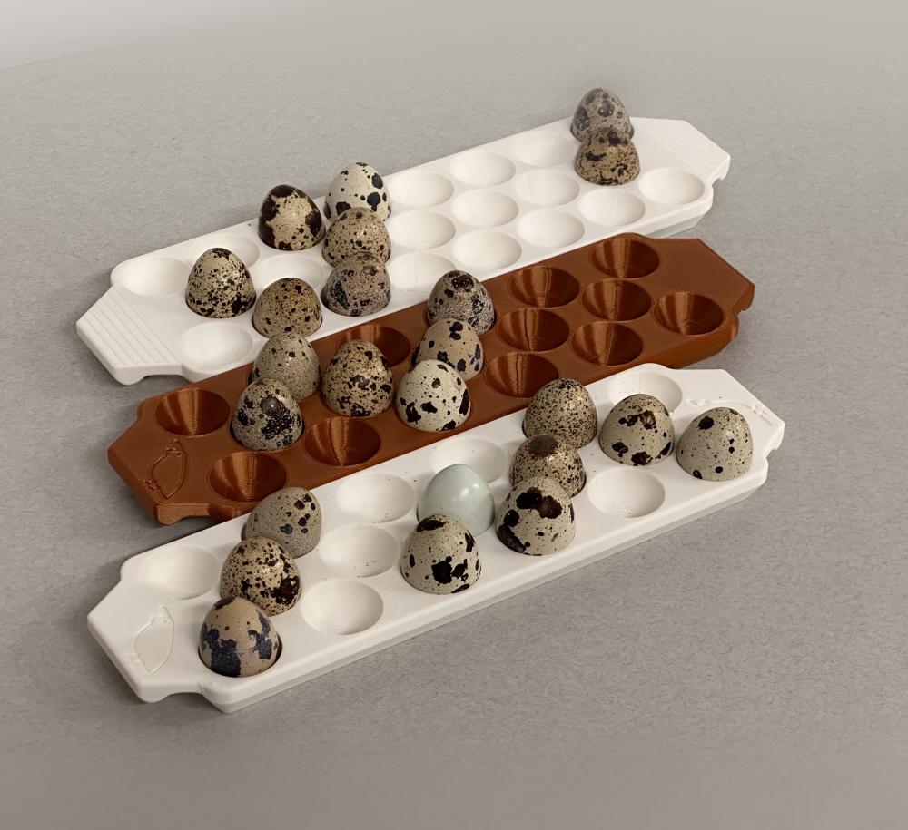 23 Quail Egg Tray with handles 3d model