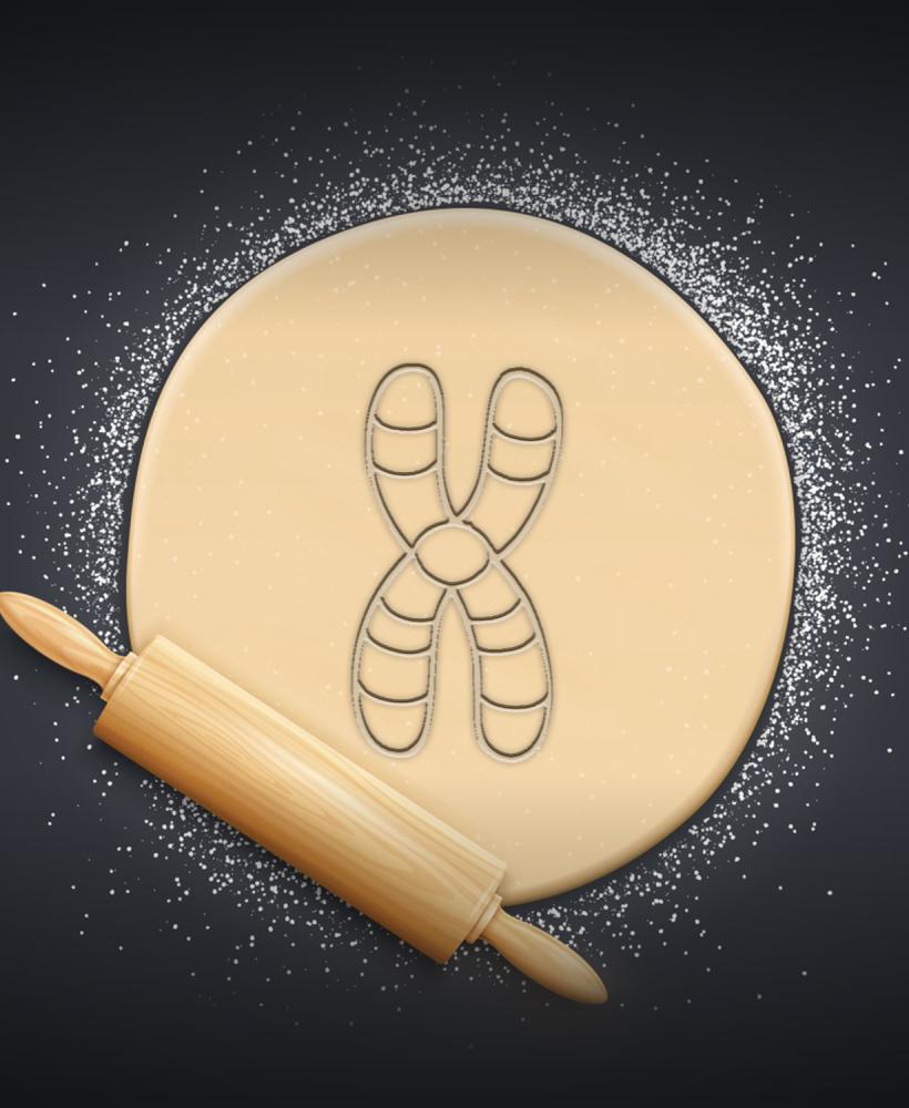 Chromosome Cookie Cutter, Biscuit Cutter 3d model