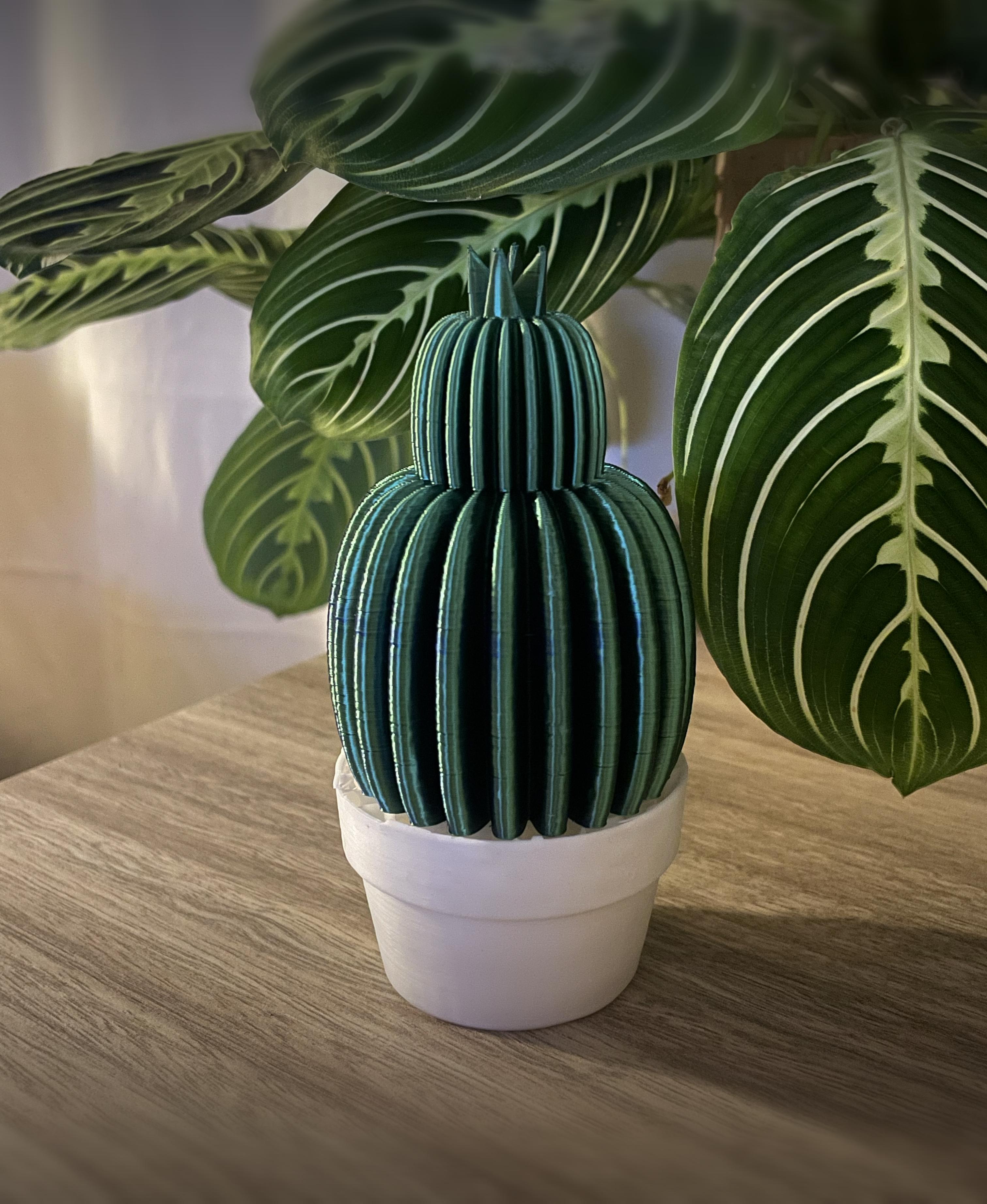 2 -tier cactus  3d model