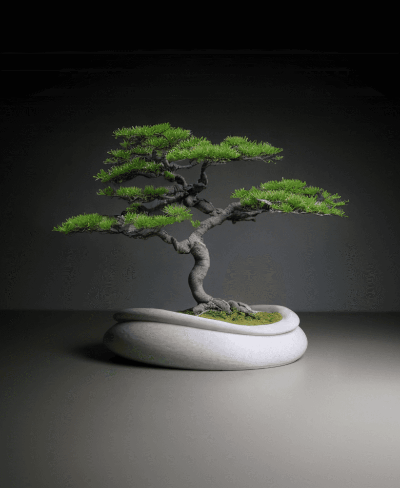 Bonsai Pot 3d model