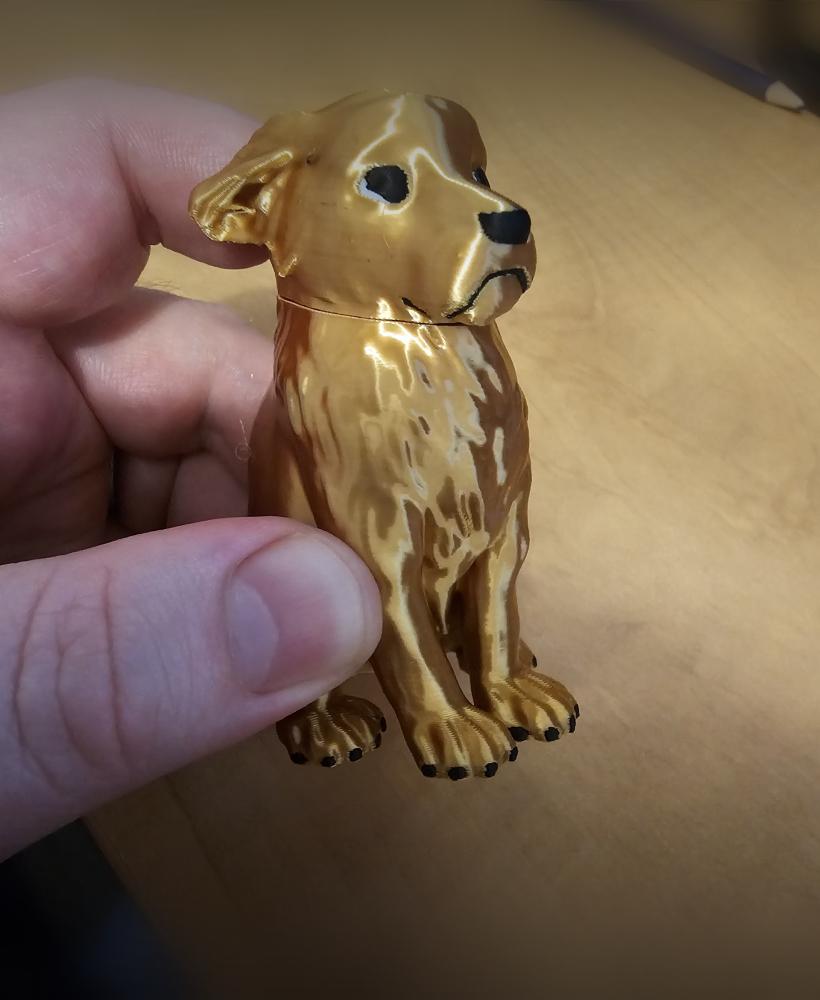 Golden Retriever (original) - Multiple Color Variants (for AMS) 3d model