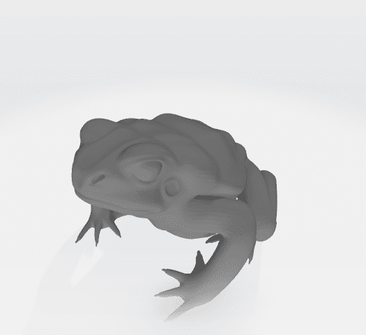 frog.stl 3d model