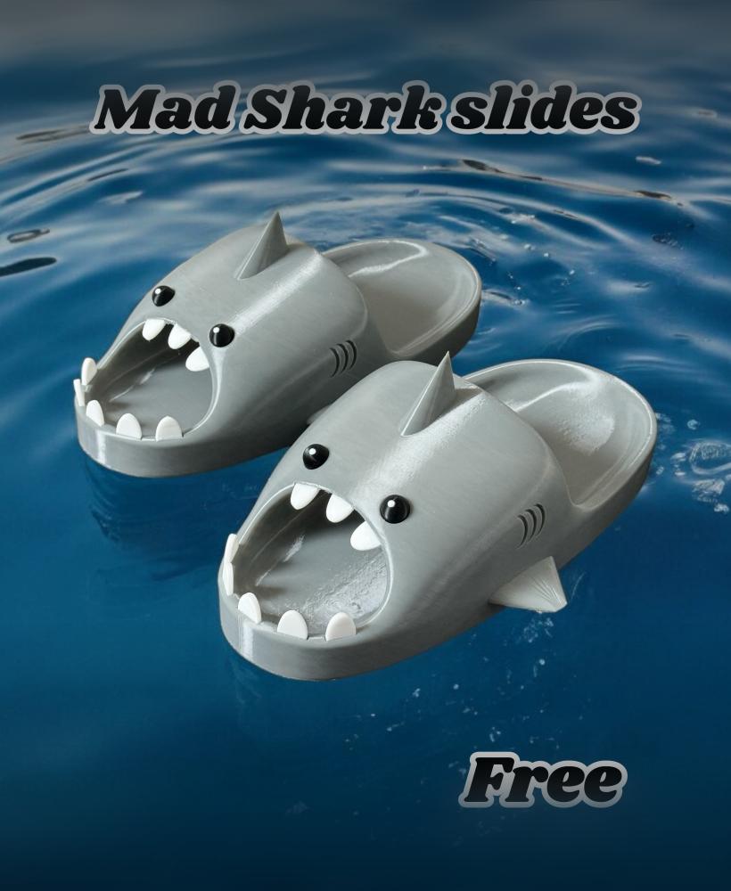 Mad Shark slides 3d model
