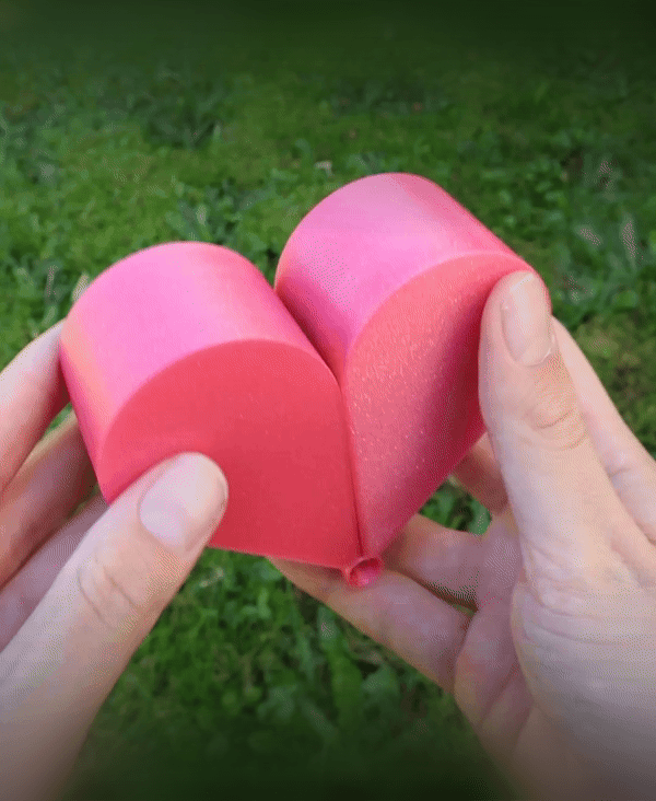 Heart Ring Box 3d model