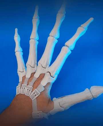 Articulated Skeleton Hands 3d model