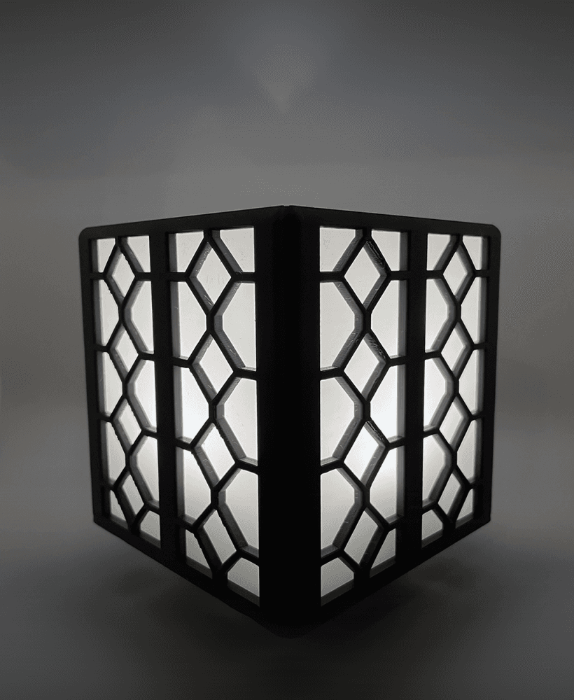 Light/Planter Box "Mata" Pattern 3d model