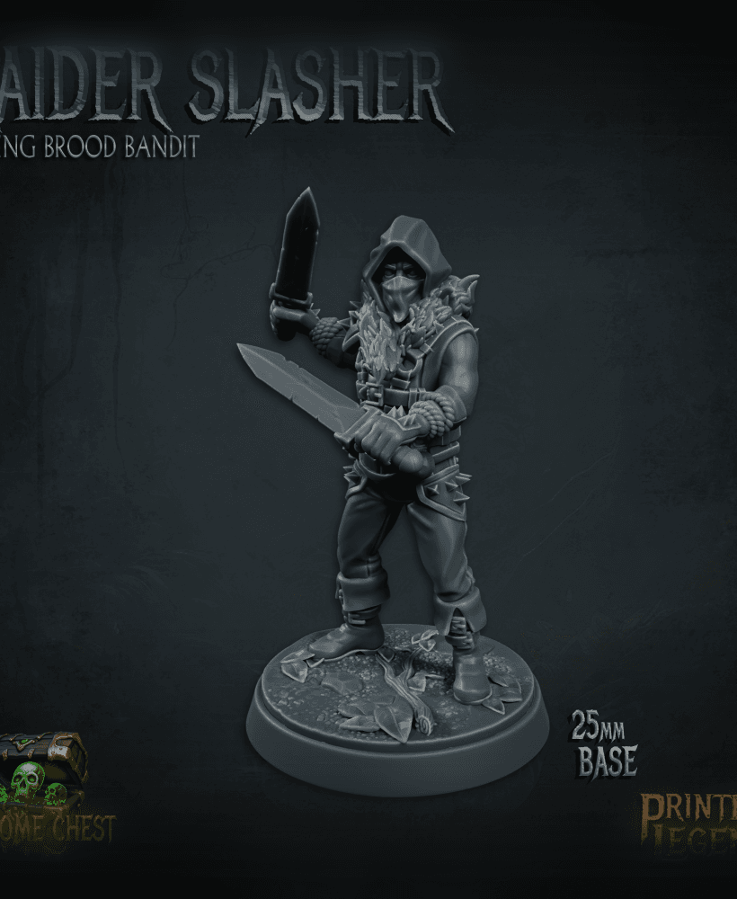 Raider 02 (25mm Base) 3d model