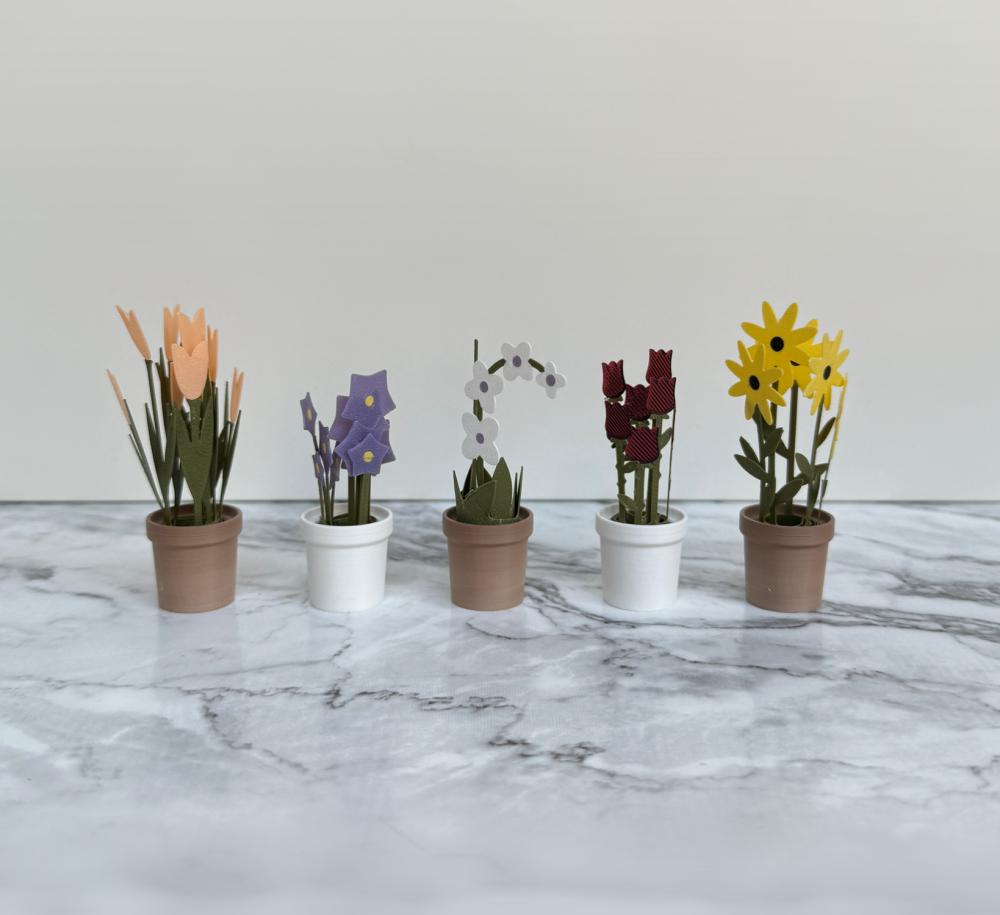 Flora Collection, fridge magnets. 3d model