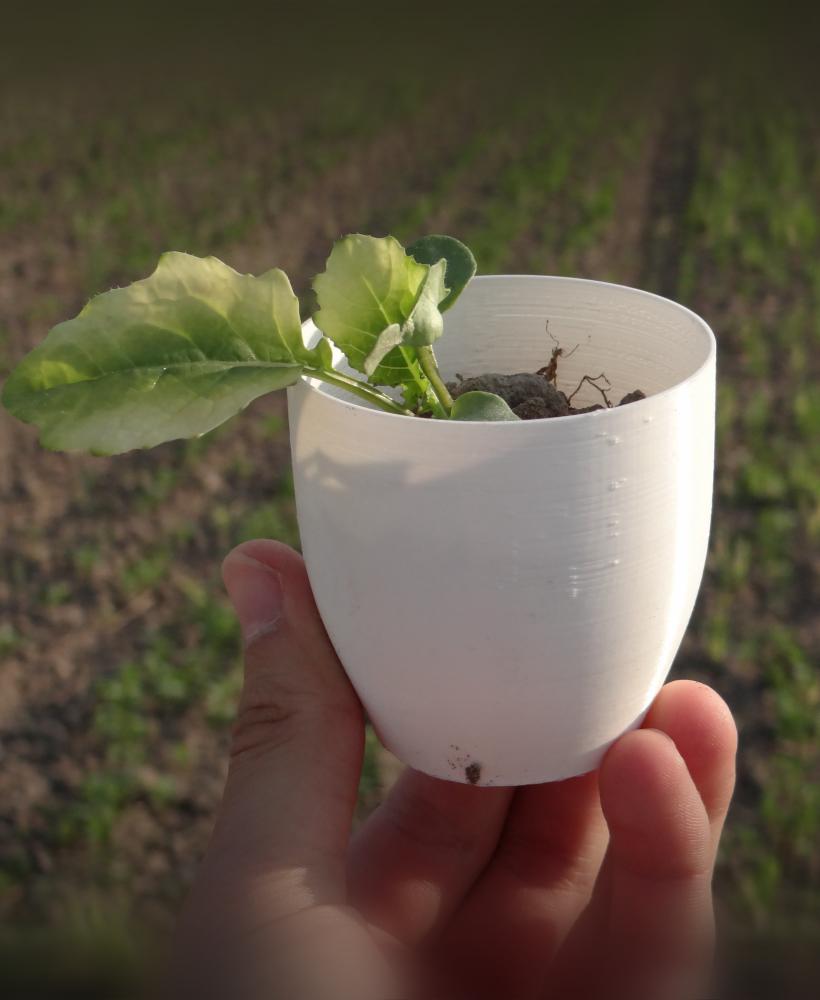 Simple mini pot for a plant 3d model