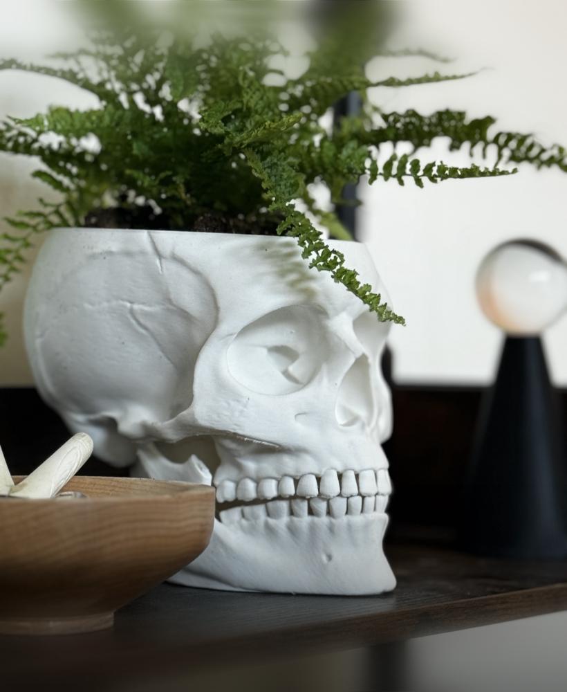 Skull Planter with Jaw drip container stand 3d model