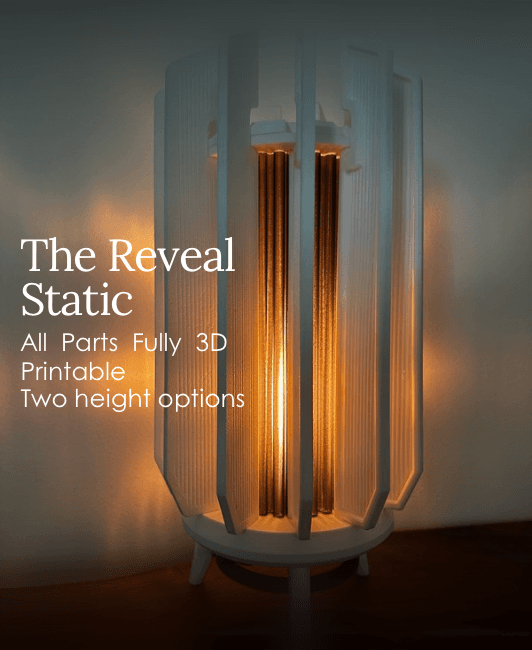 The Reveal - Static 3d model