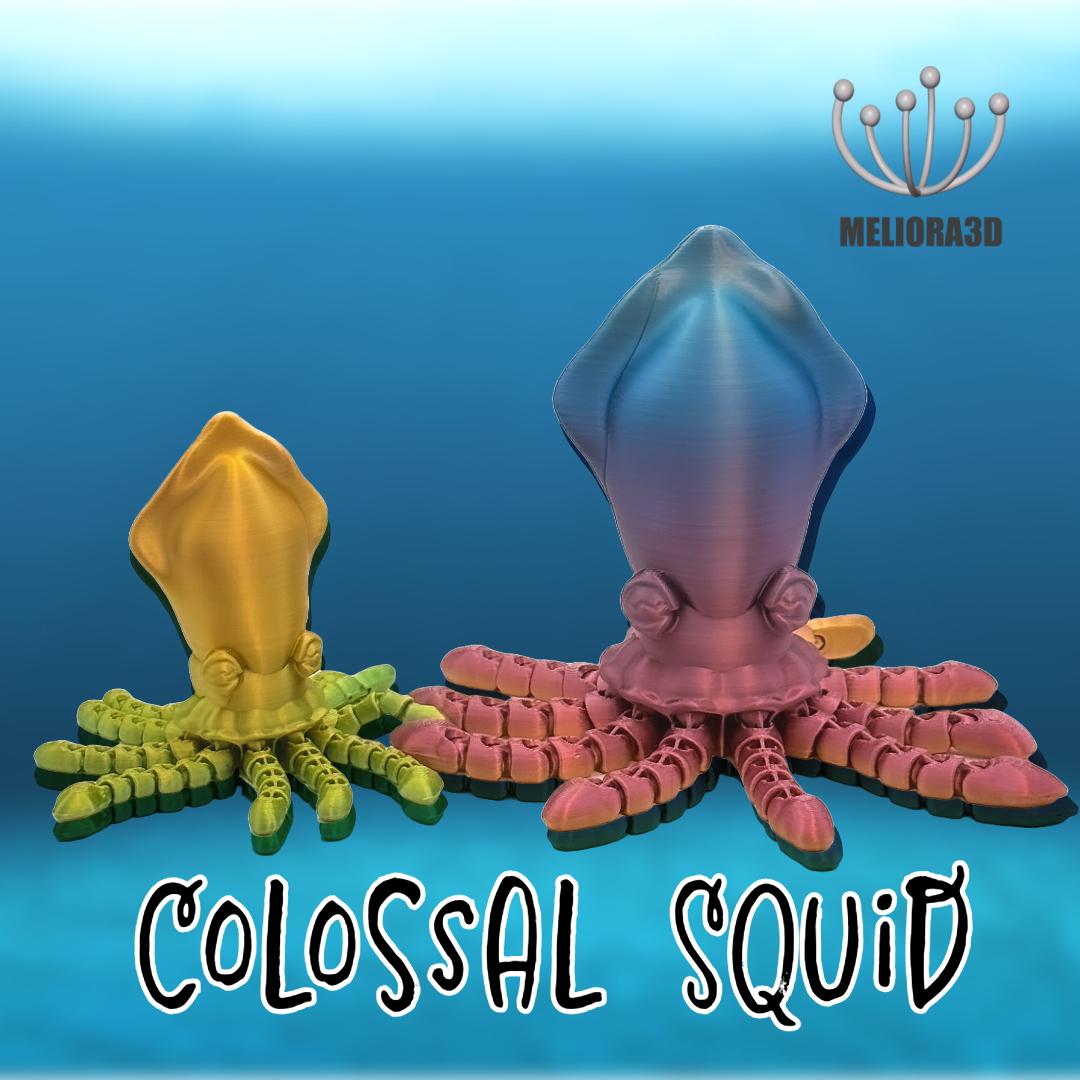 New Release - Colossal Squid
