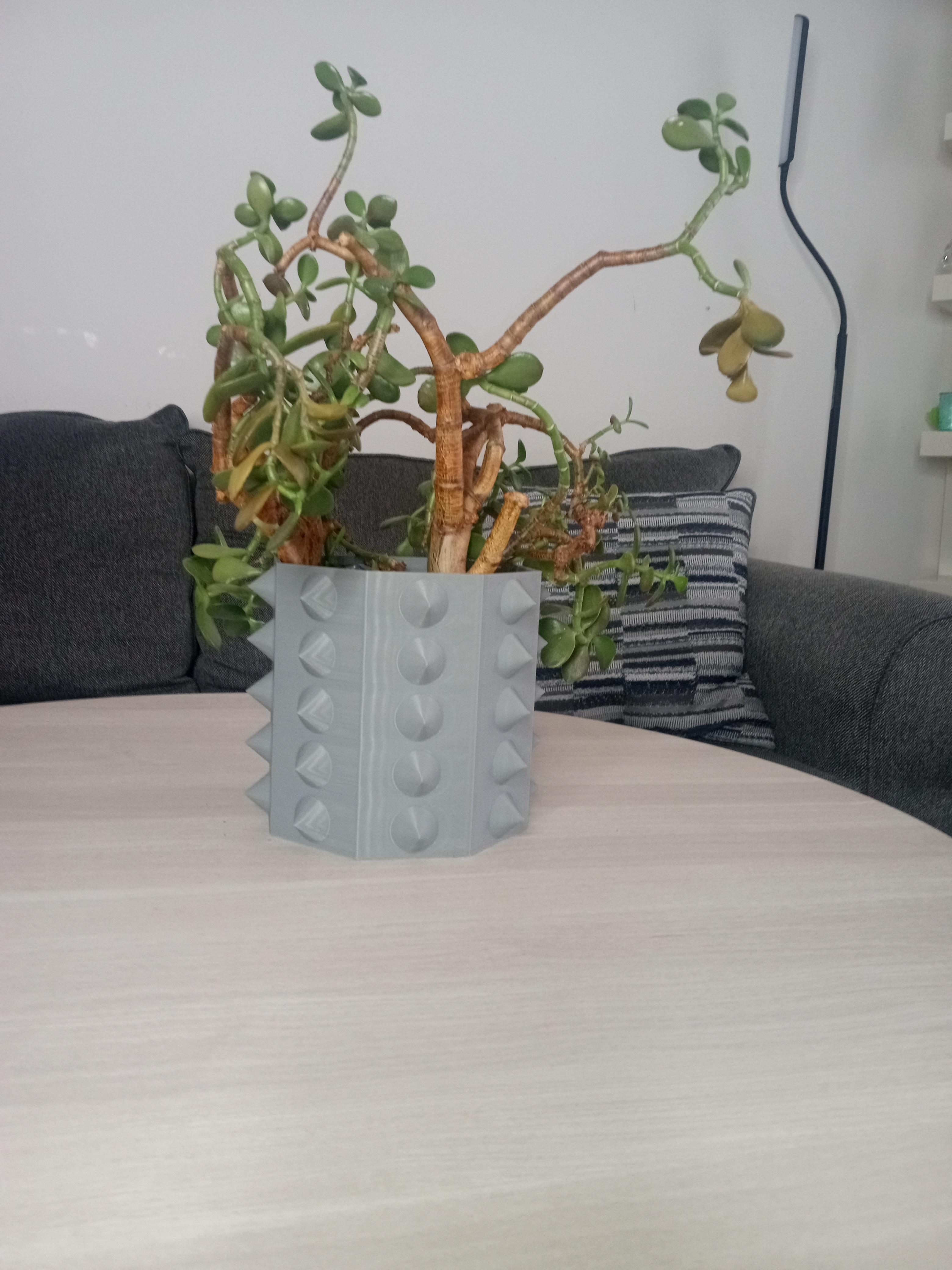 Spiky Planter 