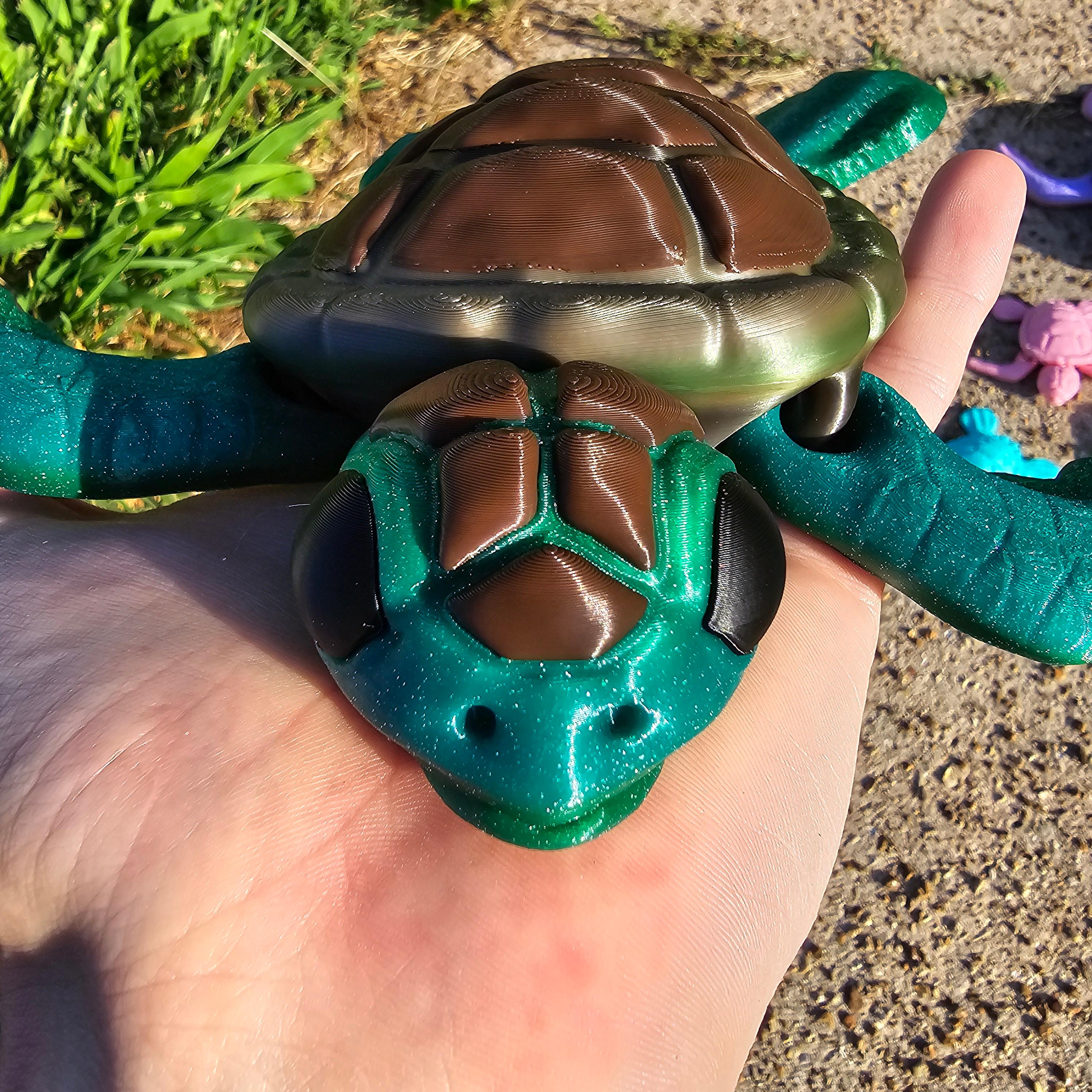 This Baby Sea Turtle says "Hello"!