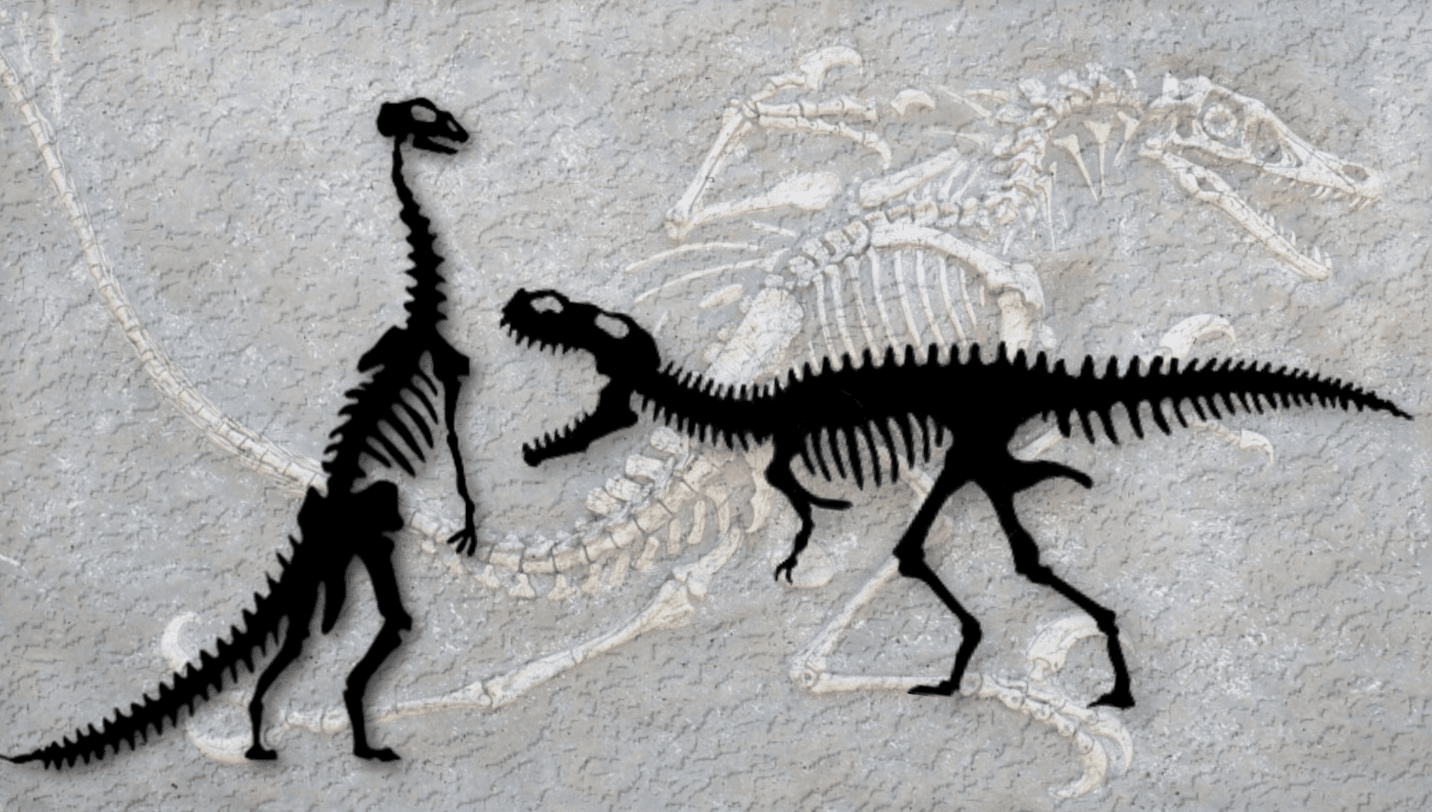 New Dinosaur Skeletons Wall Art 