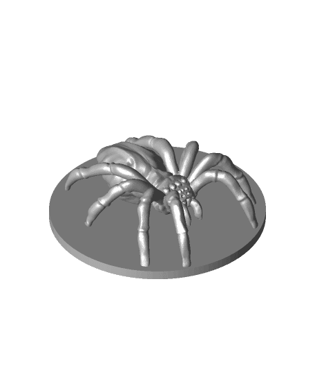 Phase Spider 3d model