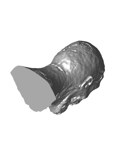 Ghoul Head (Pre-Supported) 3d model