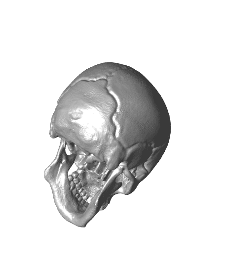 Blind Skull 3d model