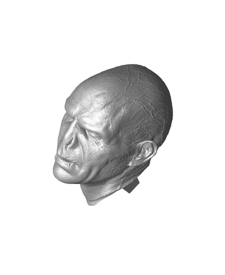WICKED MOVIES VOLDEMORT SCULPTURE: TESTED AND READY FOR 3D PRINTING 3d model