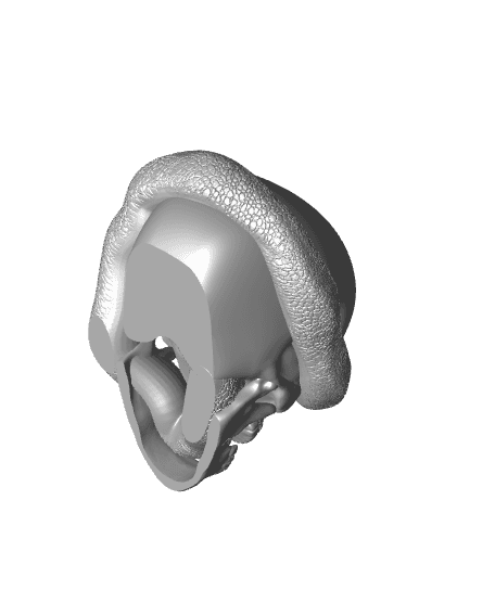 Skull With Snake Planter / Figurine / 3MF Included 3d model