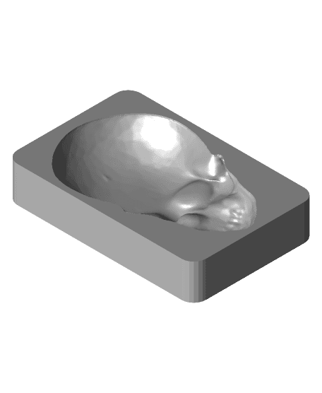 Optical illusion - Murray the tracking Skull 3d model