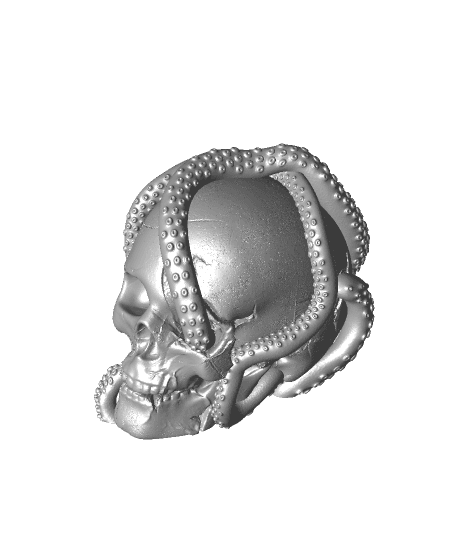 Tentacle Skull 3d model