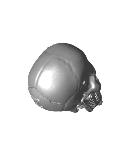 Cyber Skull 3d model