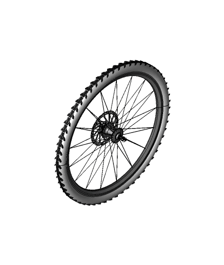 Bicycle front wheel (Rueda delantera de bicicleta) 3d model