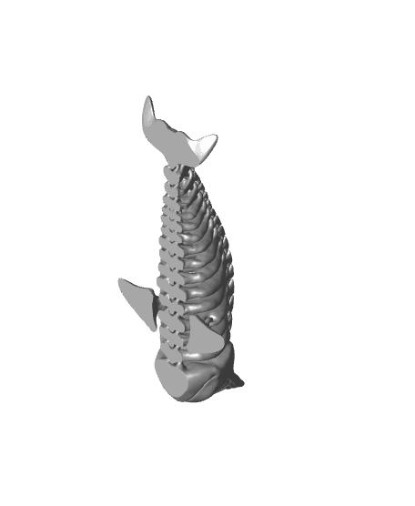 Narwhal  Bones Flexi 3d model