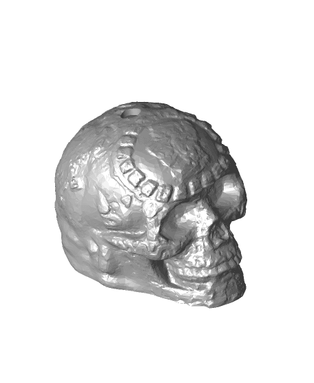 Wacom Pen Holder Skull - Desk Ornament - 3D model by printedobsession on  Thangs