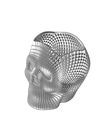 REAL Skull Desktop  3d model