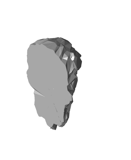 Low Poly Lion Head Fridge Magnet 3d model