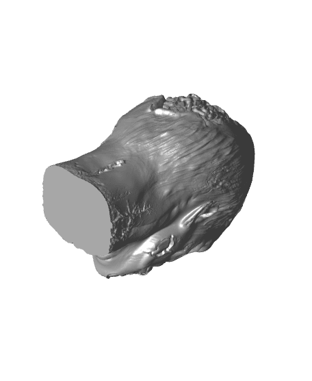 Zombie Head (Pre-Supported) 3d model