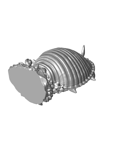 Dolphin Shellfish 3d model