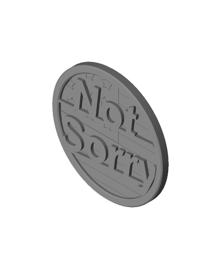 American "Not Sorry" Coaster 3d model