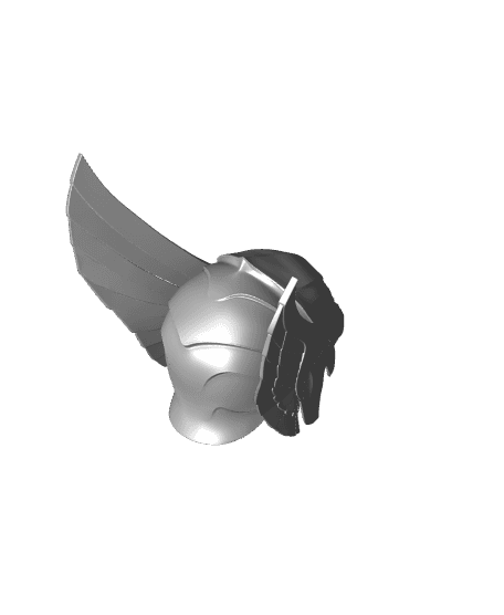 Hawk man Helmet Mask 3d model